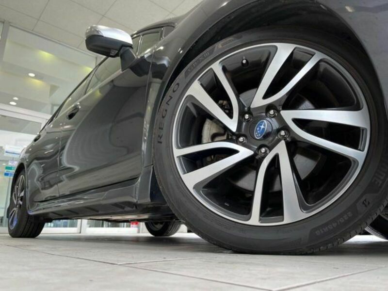 LEVORG-13