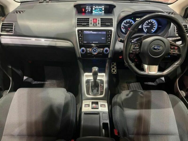 LEVORG-1