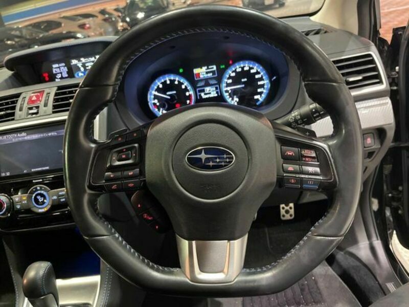 LEVORG-10