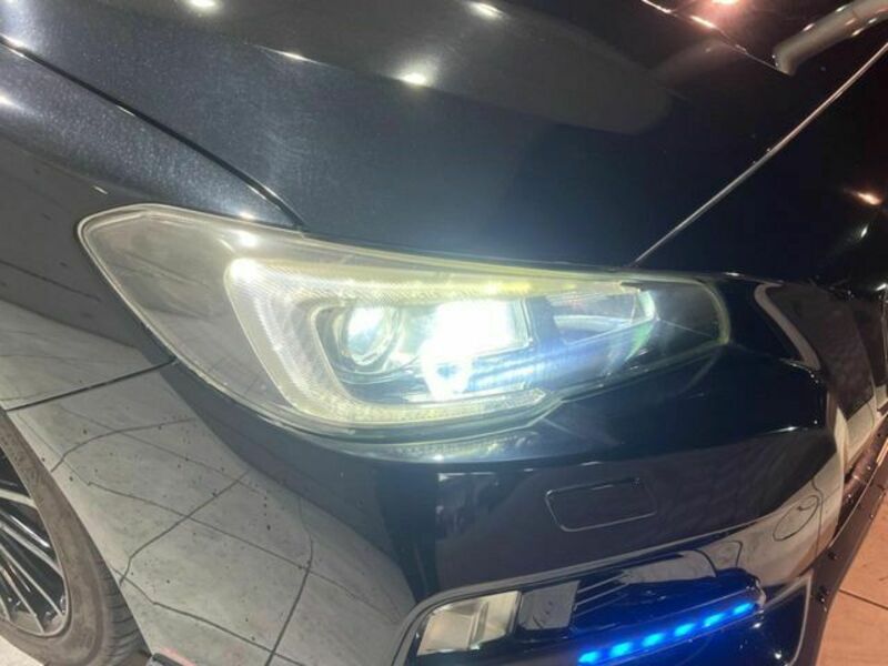 LEVORG-17