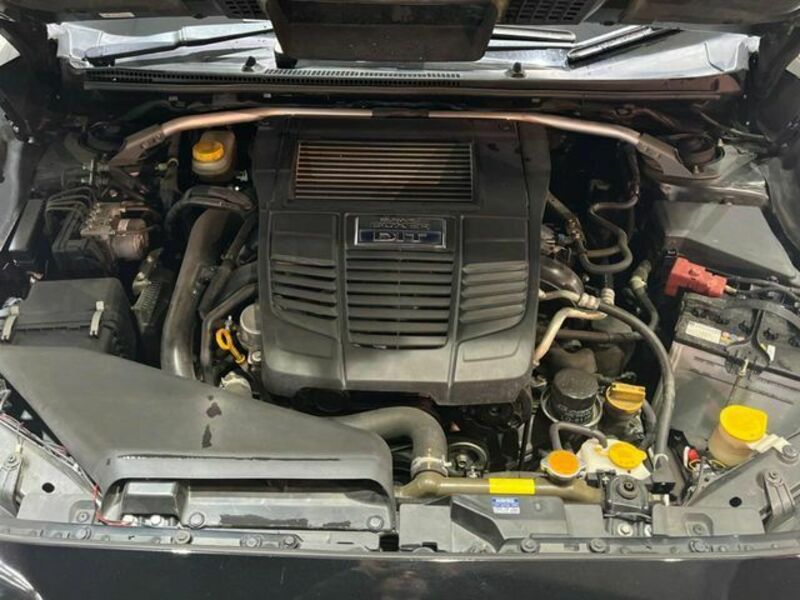 LEVORG-19