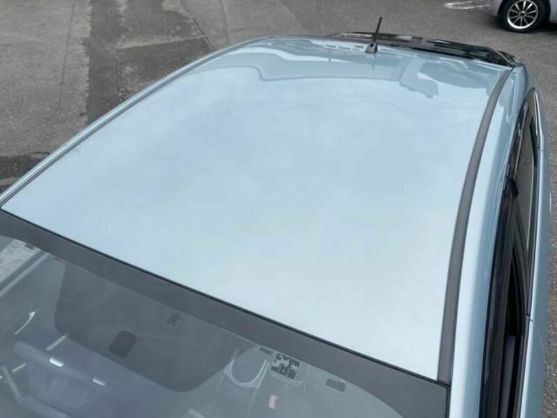 PRIUS-19