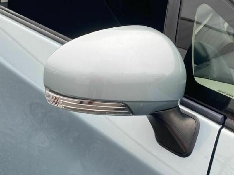 PRIUS-21