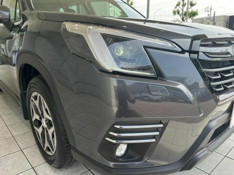 FORESTER