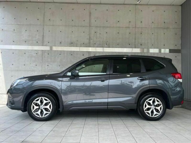 FORESTER