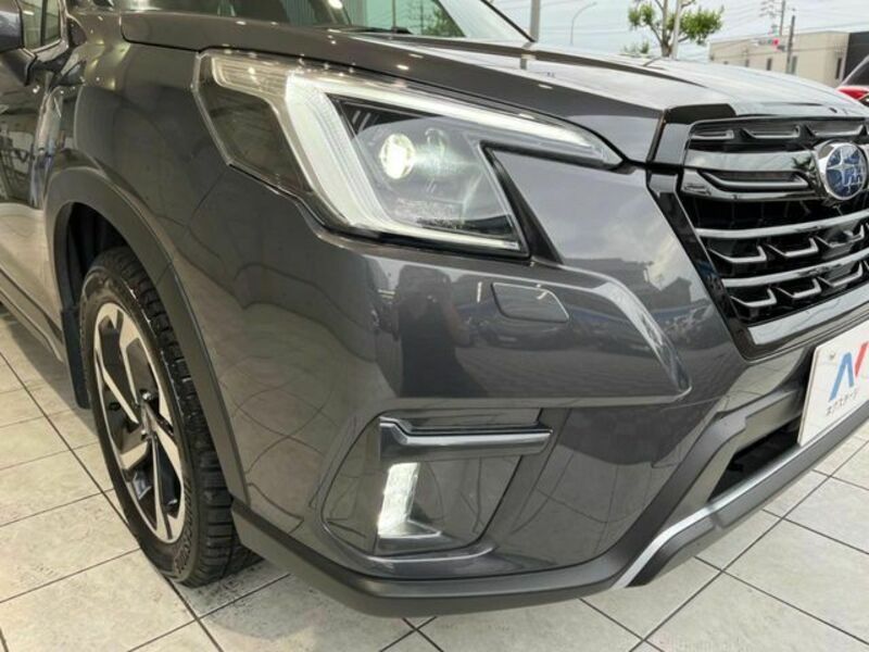 FORESTER