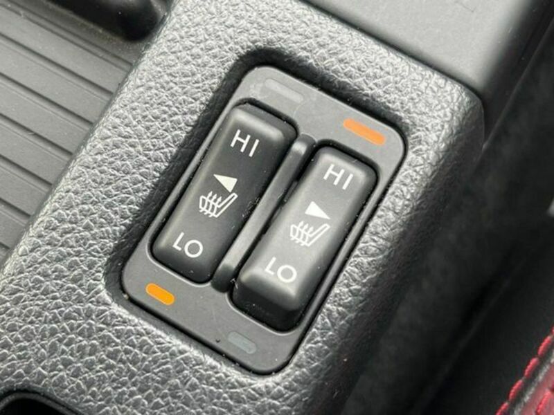 LEVORG-10