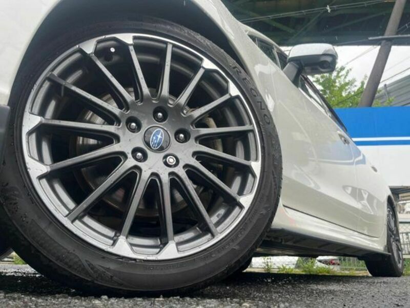 LEVORG-13