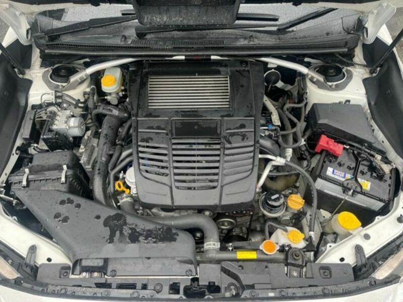 LEVORG-17