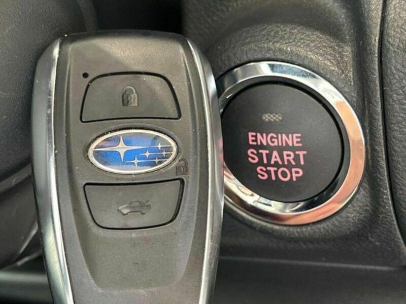 LEVORG-6