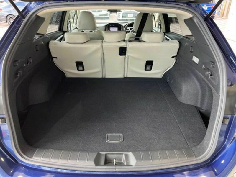 LEVORG-10