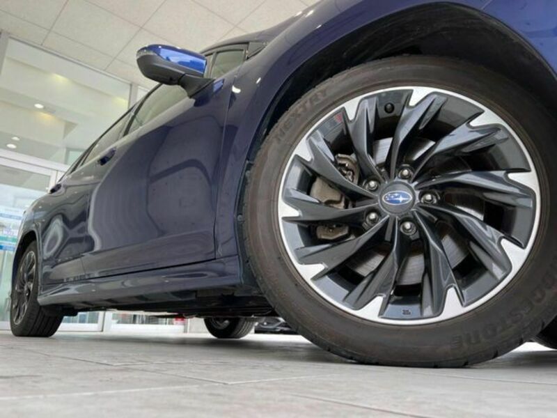 LEVORG-11