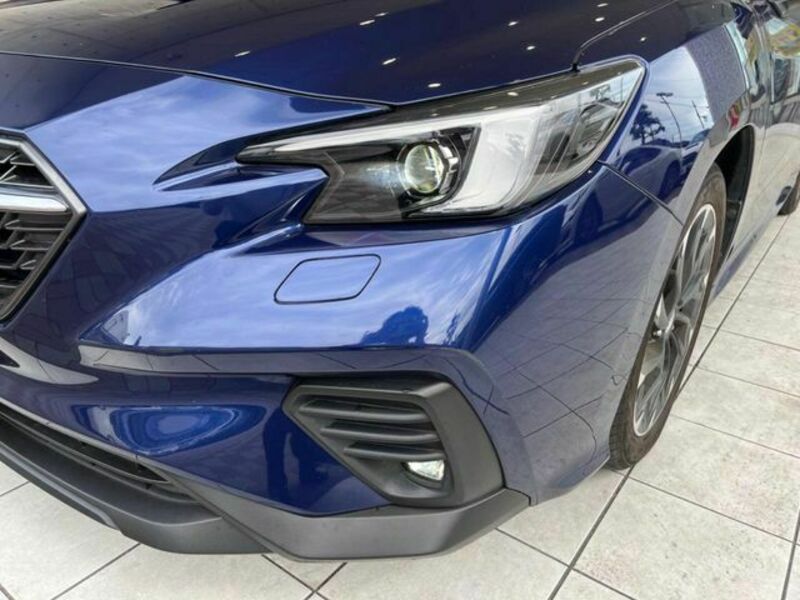 LEVORG-12