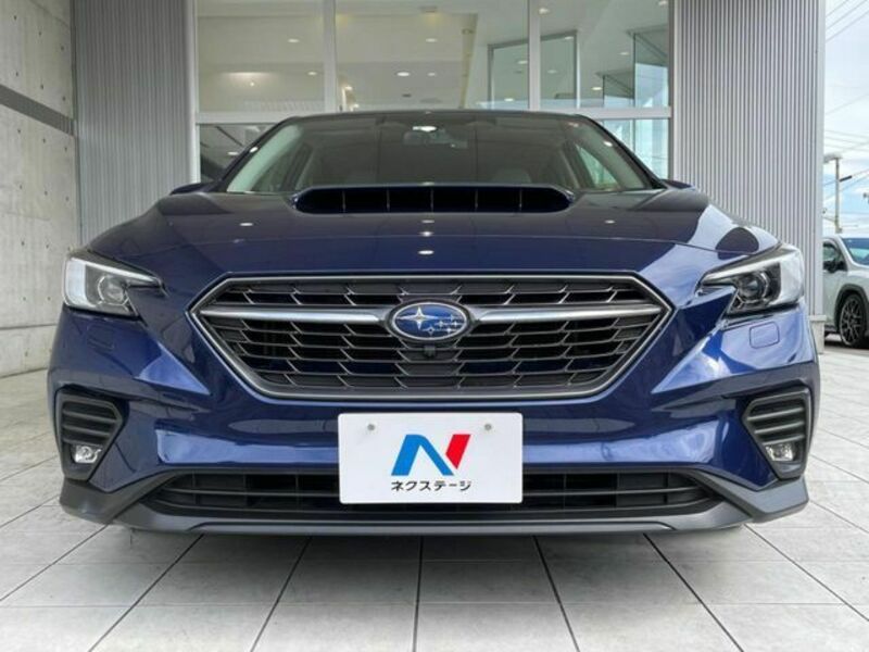 LEVORG-13