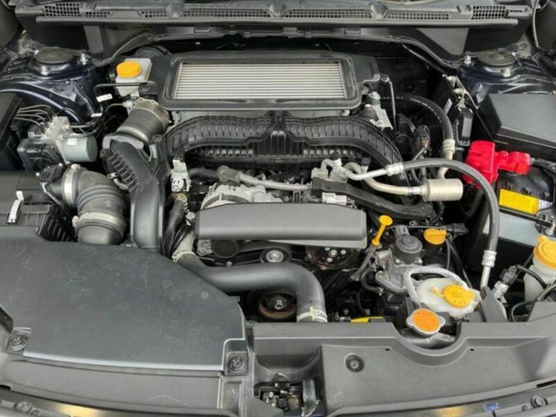 LEVORG-17