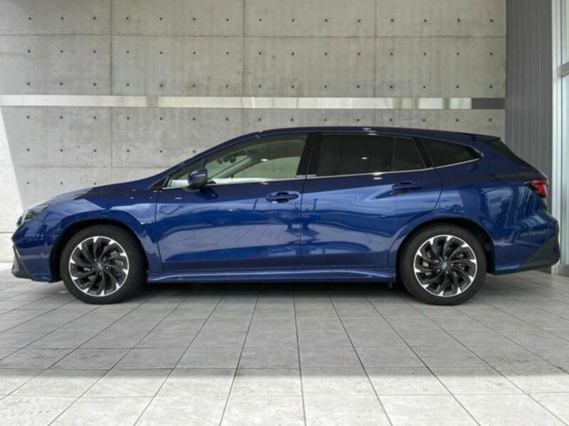 LEVORG-19
