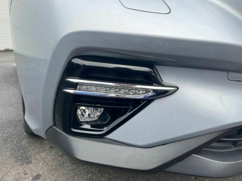 LEVORG-3
