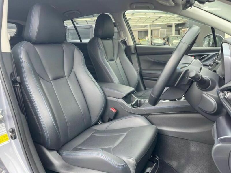 LEVORG-10
