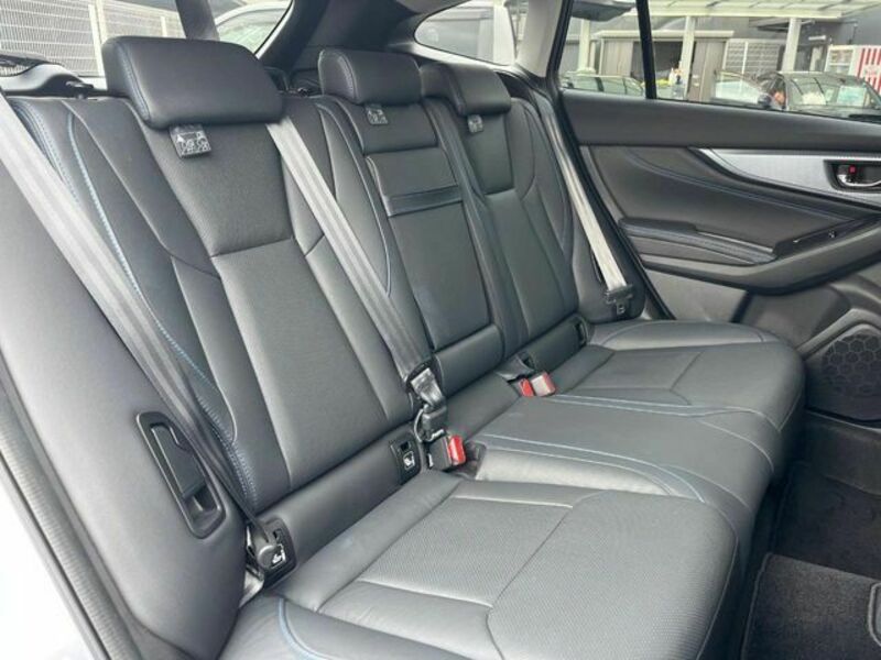 LEVORG-11