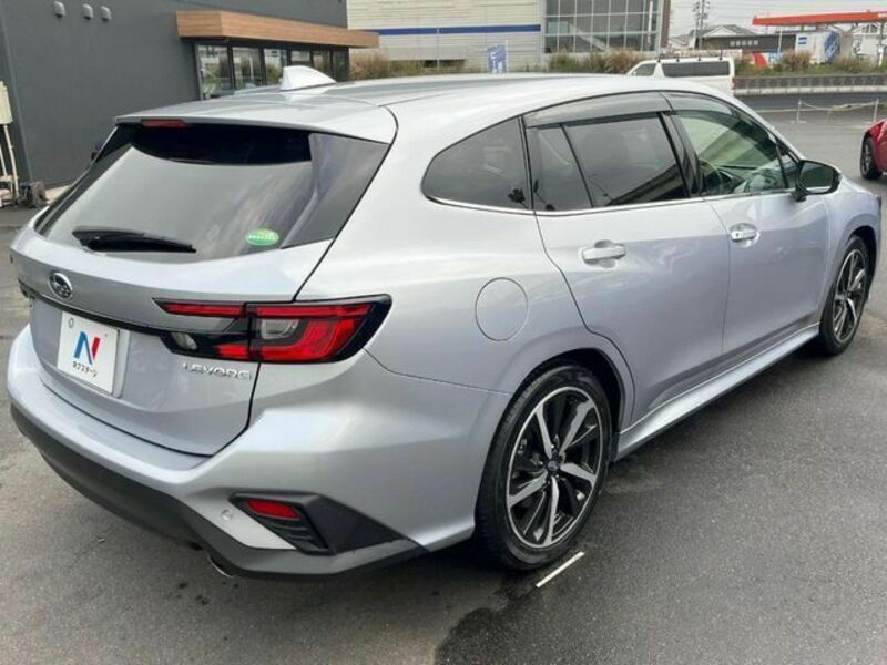 LEVORG-19