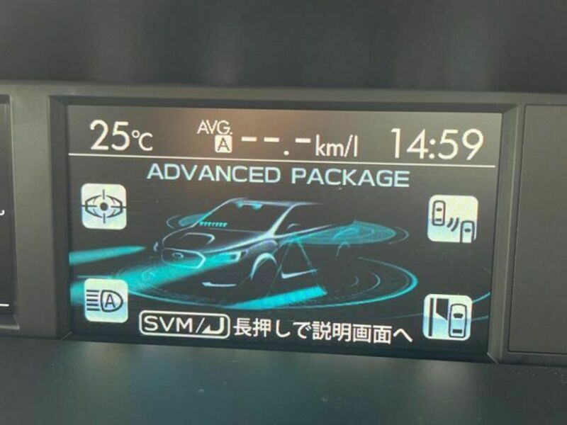 LEVORG-2