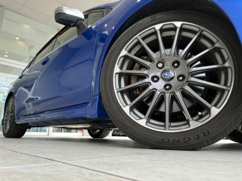 LEVORG-13