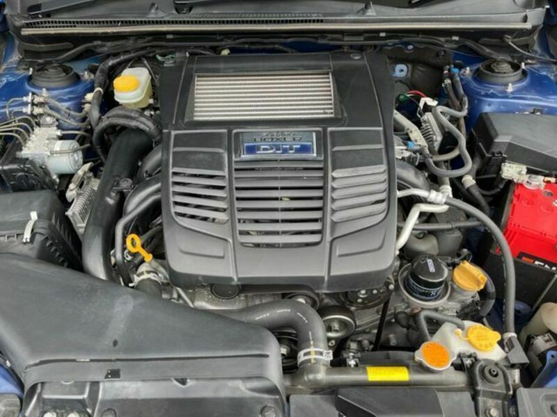 LEVORG-19