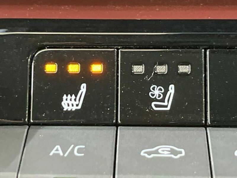 PRIUS-6