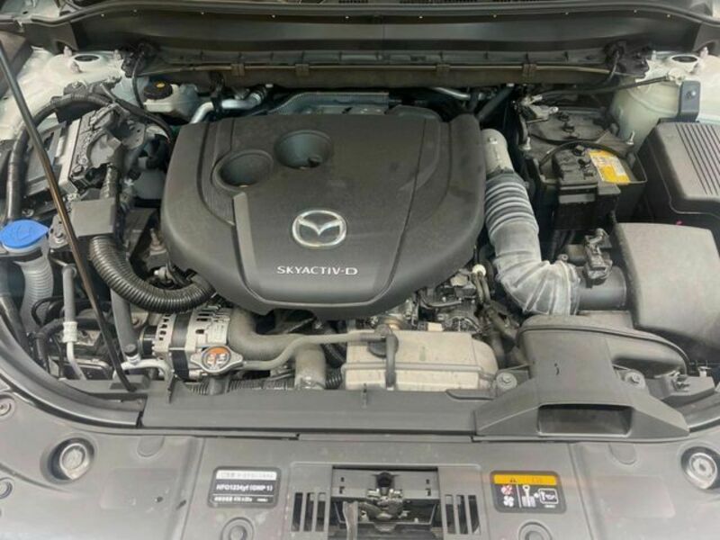 CX-5-17