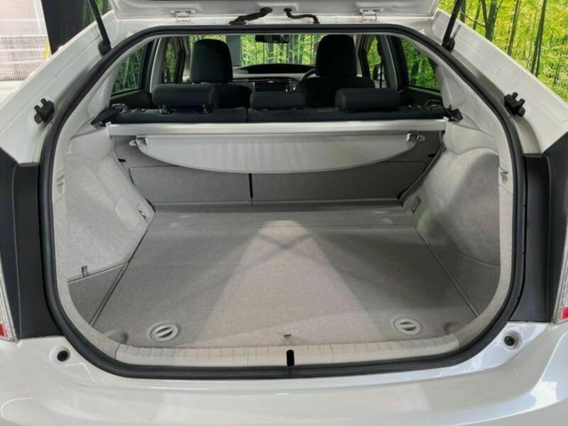PRIUS-9