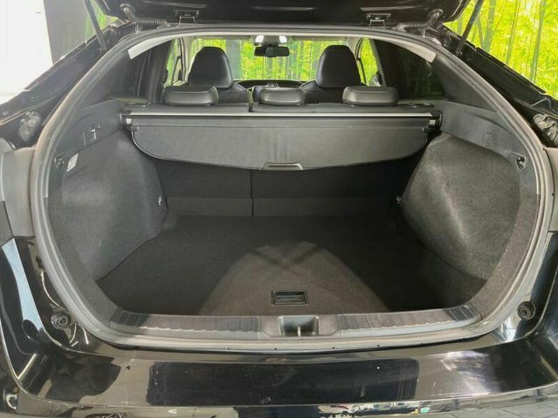 PRIUS-9