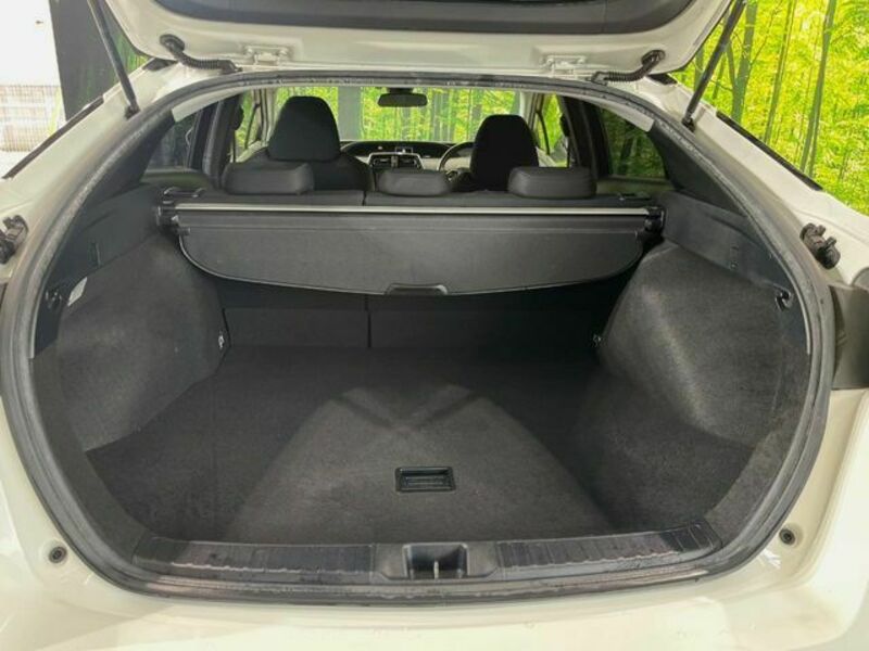 PRIUS-9