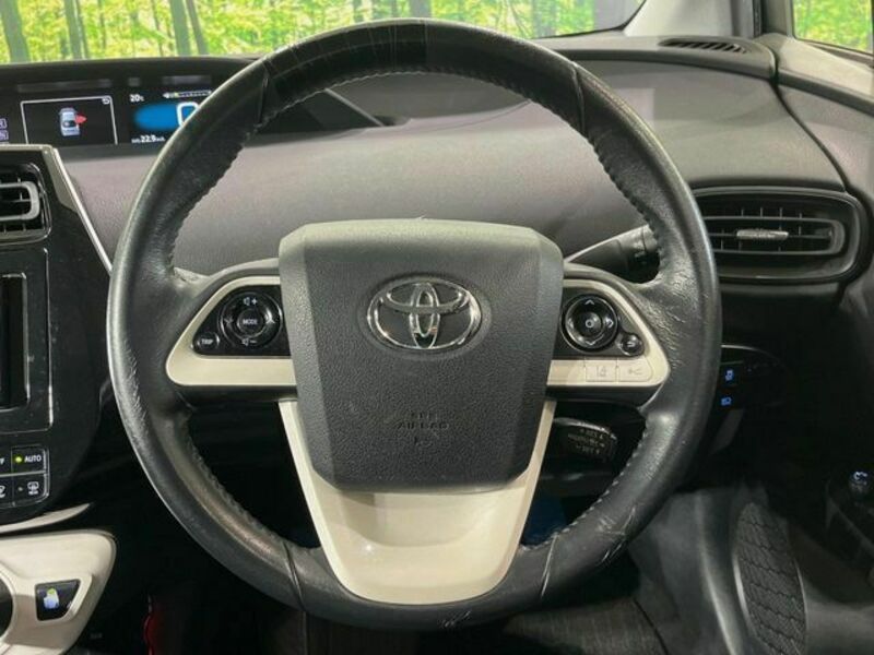 PRIUS-10