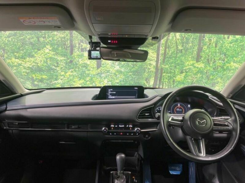 CX-30