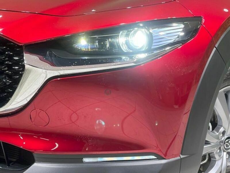 CX-30