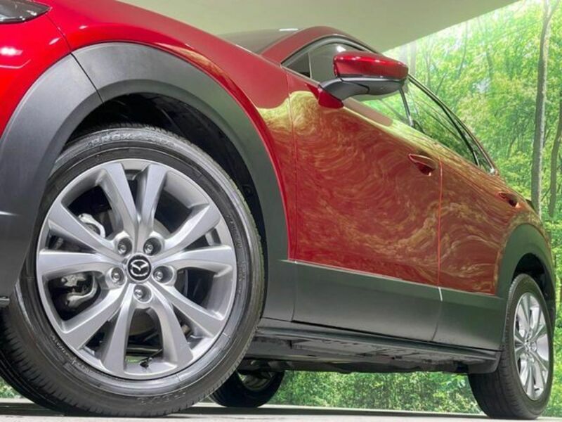 CX-30