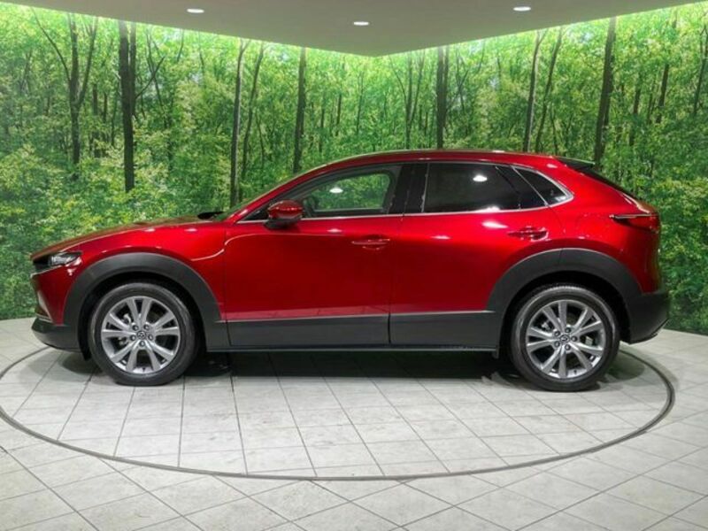 CX-30