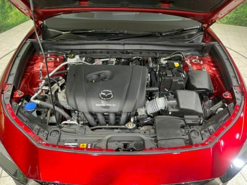 CX-30