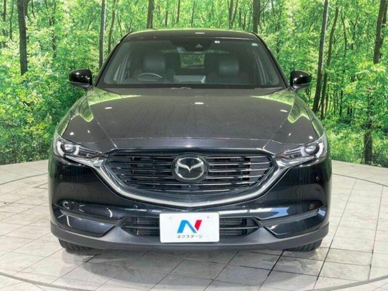 CX-8-15