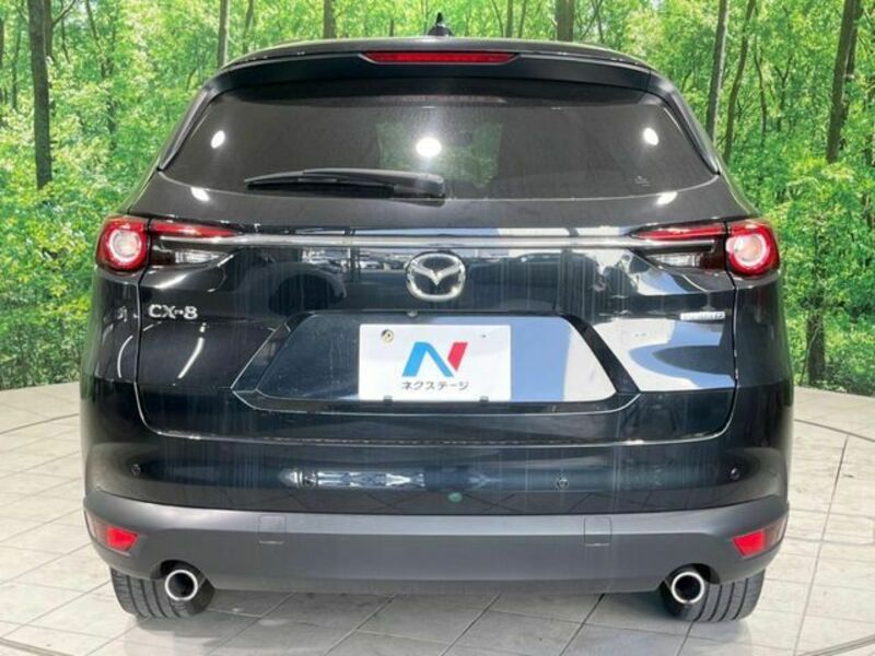 CX-8-16