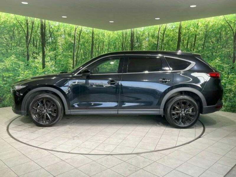 CX-8-17