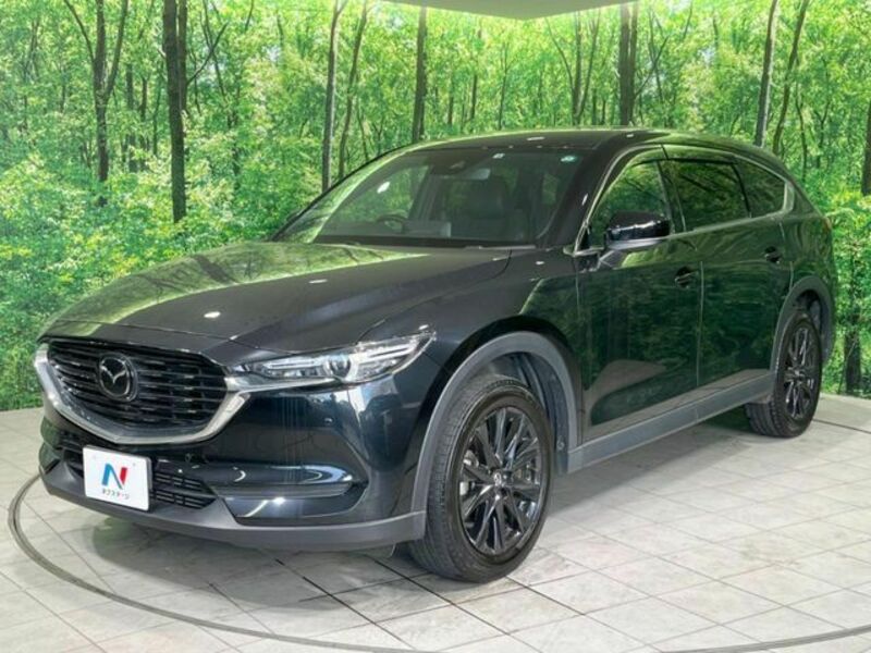 CX-8-18