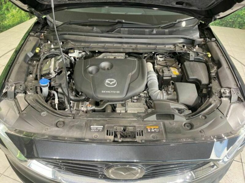CX-8-19