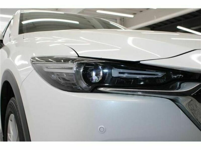 CX-8