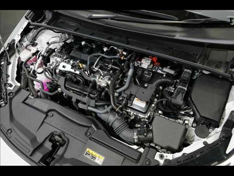 PRIUS-19