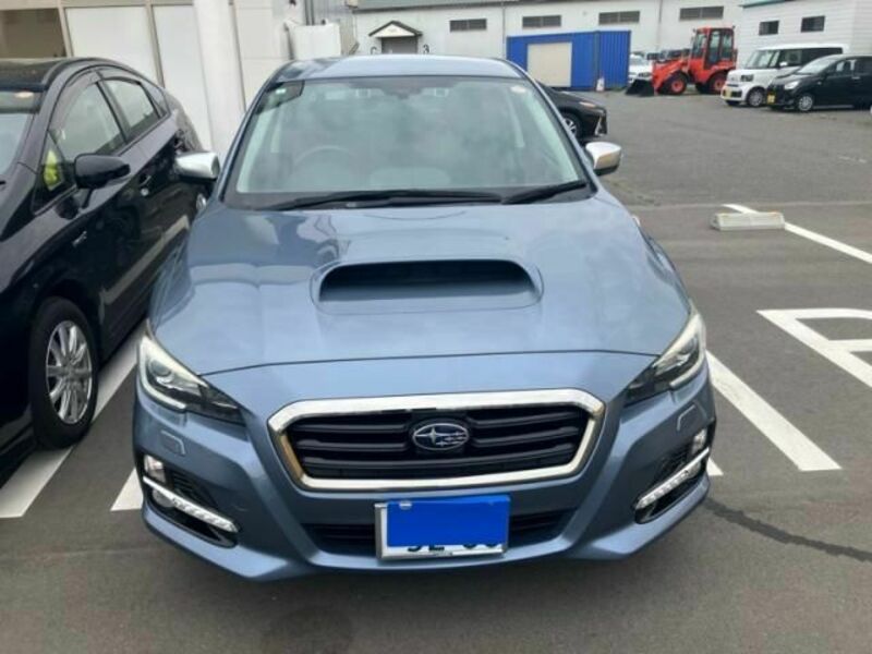 LEVORG