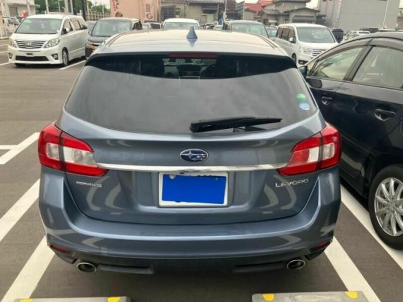 LEVORG-1