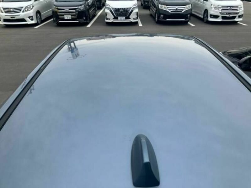 LEVORG-4