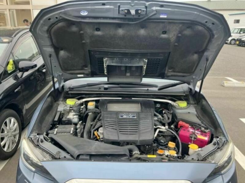 LEVORG-6