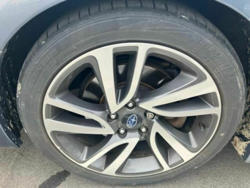 LEVORG-7